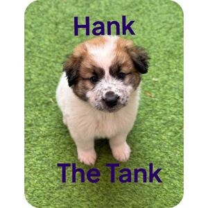 🎉LIKE THIS POST TO GET NOTIFICATIONS 📢 LIVE SUNDAY!💎